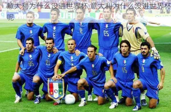 意大利为什么没进世界杯,意大利为什么没进世界杯呢